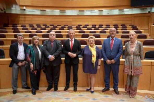 María José Villalba, elegida Secretaria General Adjunta del Grupo Socialista en el Senado