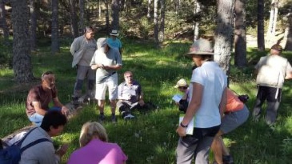 Orquídeas y setas, los principales reclamos turísticos primaverales en la Sierra de Albarracín