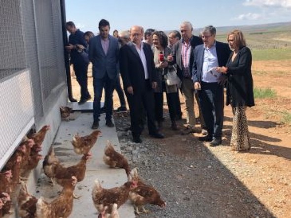 El complejo avícola en Perales del Alfambra clasificará 45.000 huevos por hora