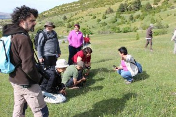 El Maestrazgo se posiciona como un destino ideal para localizar orquídeas silvestres