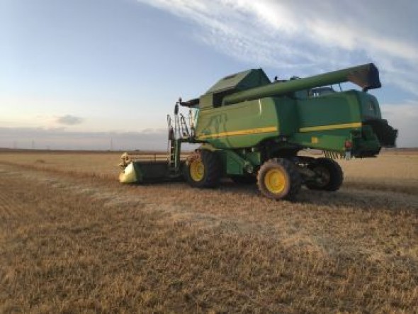 UAGA anuncia que los agricultores de cereal de Teruel tendrán una buena cosecha tras varias campañas nefastas