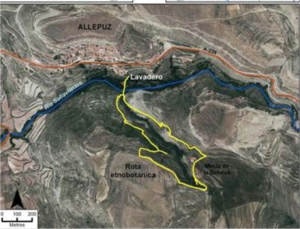 Allepuz inaugura este domingo la ruta etnobotánica  Reverendo Bernardo Zapater