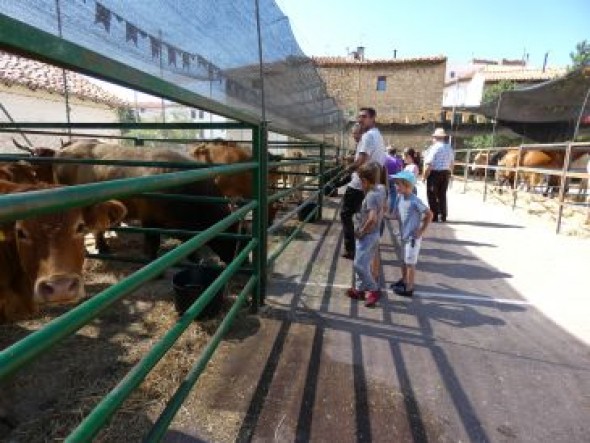 La ganadería recupera protagonismo en otra edición de la feria de Mosqueruela