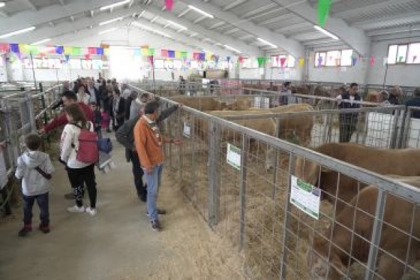 La próxima edición de la Feria de Cantavieja podría apoyar también a ganaderos de zonas limítrofes de Castellón