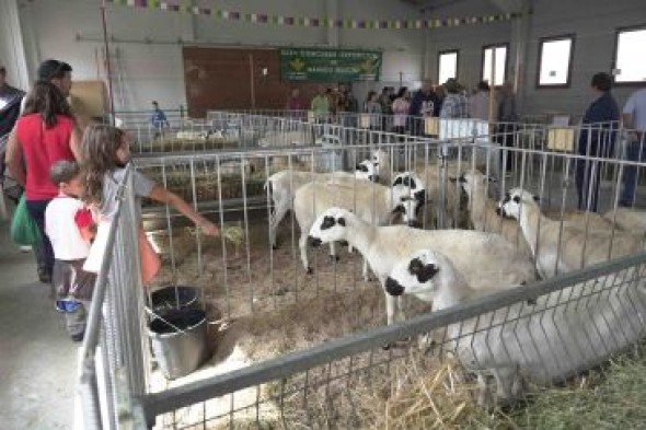 La próxima edición de la Feria de Cantavieja podría apoyar también a ganaderos de Castellón