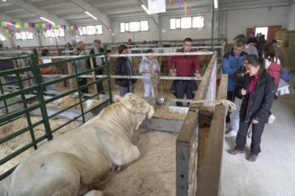 Menos gente por la gota fría pero muchas ventas en la feria de Cantavieja