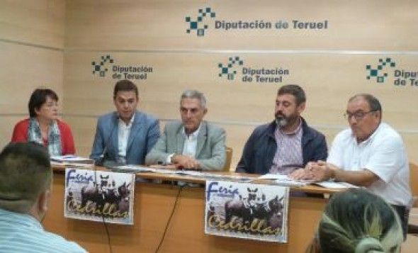 La Feria de Cedrillas subastará 70 hembras y 10 machos de la raza Rasa aragonesa el fin de semana