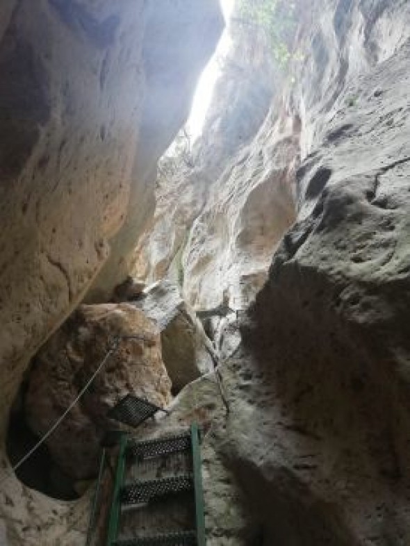 Bomberos de la DPT rescatan a un perro en el barranco del Tranco en Villel