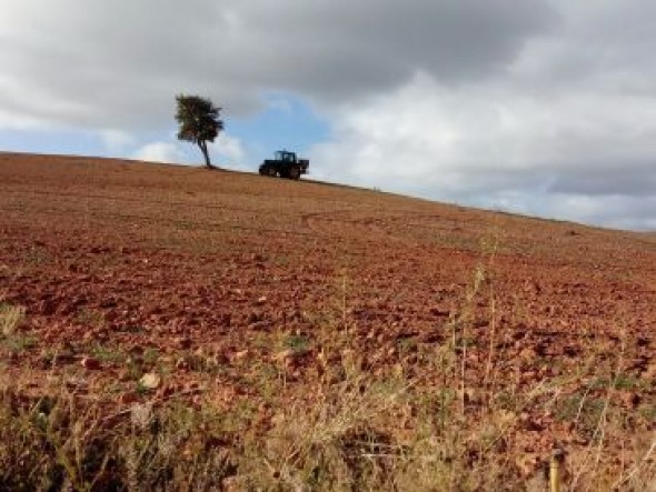 La DGA convoca ayudas para la instalación de jóvenes agricultores por 10 millones