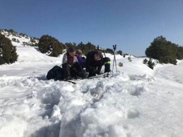 La labor de la UME: sacan con raquetas de nieve a un matrimonio de una masada en Ejulve