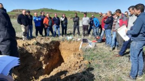 La agricultura de conservación es una técnica en auge en el campo turolense