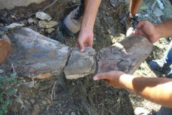 La Fundación Dinópolis ha inventariado 30 nuevos yacimientos de dinosaurios en la Sierra de Gúdar en los últimos cinco años