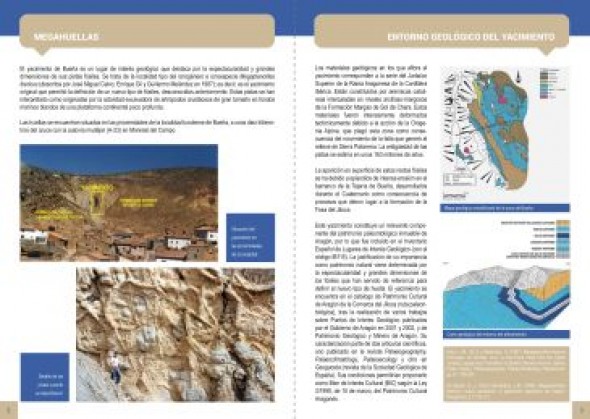 El IET publica en su web la guía de Geolodía 2020, dedicada a Bueña