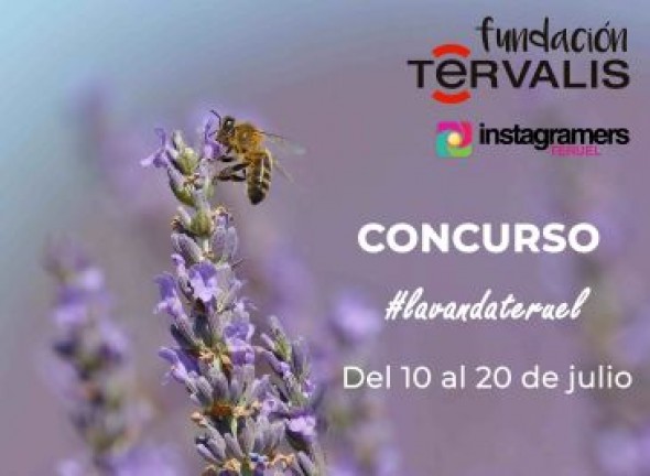 Fundación Térvalis e Instagramers de Teruel ponen en marcha el III Concurso de Fotografía #LavandaTeruel