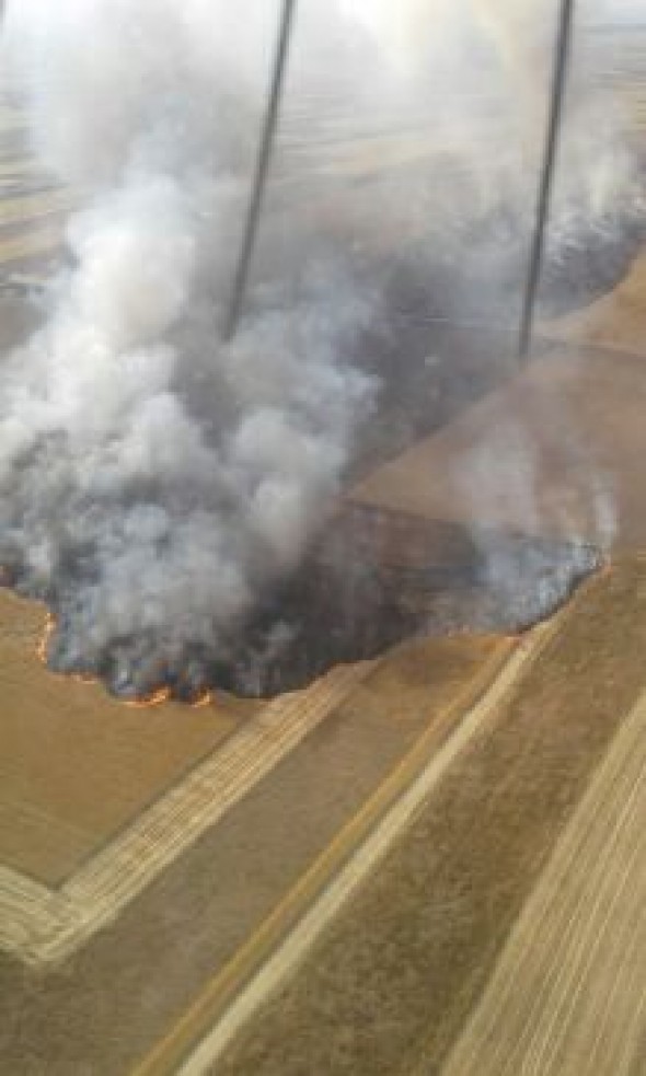 Los bomberos del Parque de Calamocha sofocan un incendio en una zona de rastrojos en Villafranca del Campo