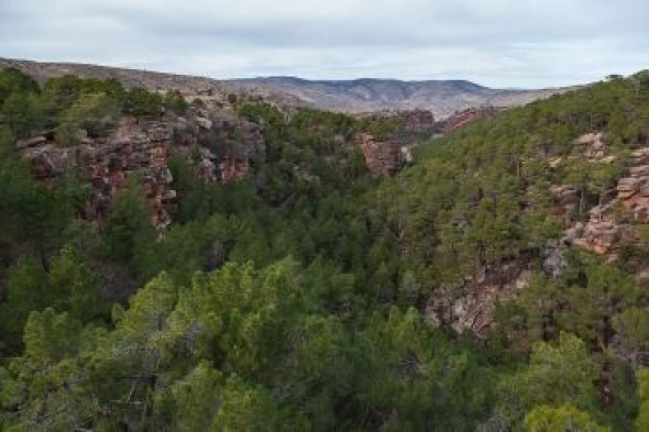 Los ayuntamientos del paisaje protegido de los Pinares del Rodeno se quedan sin dotación por el Covid-19