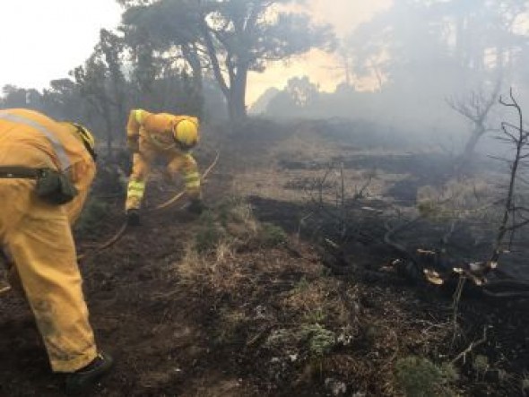 Un incendio forestal en el término de Puertomingalvo está en fase de extinción