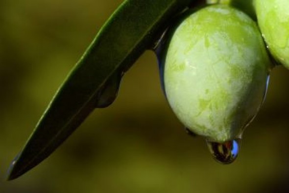 Los éxitos de la gastronomía turolense pueden activar el turismo de la zona