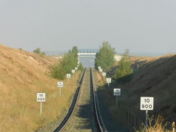 La vegetación se empieza a adueñar del ramal del tren de Platea, que cumple una década y nunca se ha usado