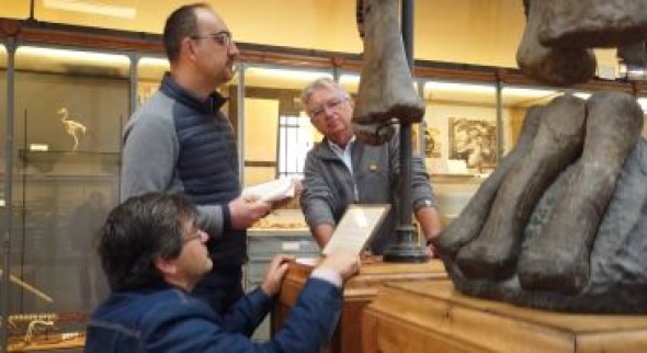 El ‘tatarabuelo’ de ‘Turiasaurus’ esperaba a ser descubierto en colecciones parisinas