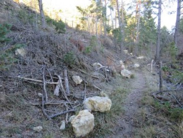 La Comarca de Gúdar-Javalambre y Agujama crean una brigada forestal