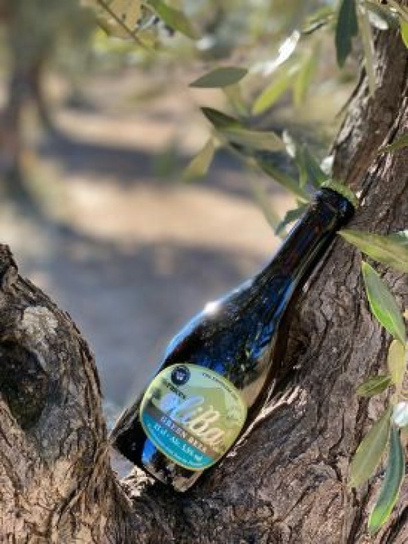 La segunda cerveza hecha con oliva del mundo es de la variedad local empeltre