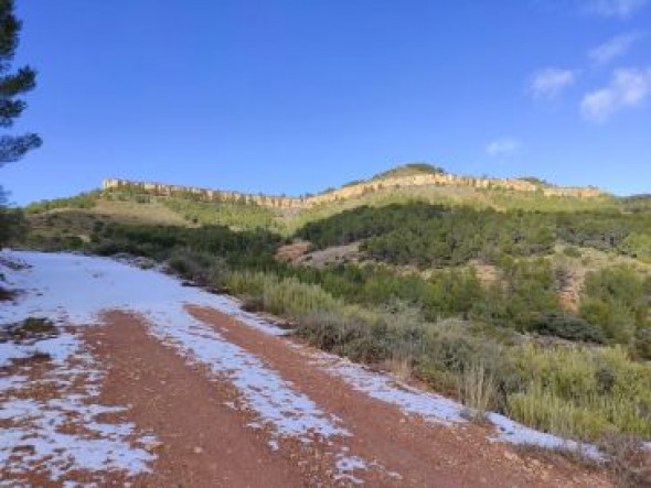 La asociación del Santuario Celtíbero de Peñalba estrena nueva página web