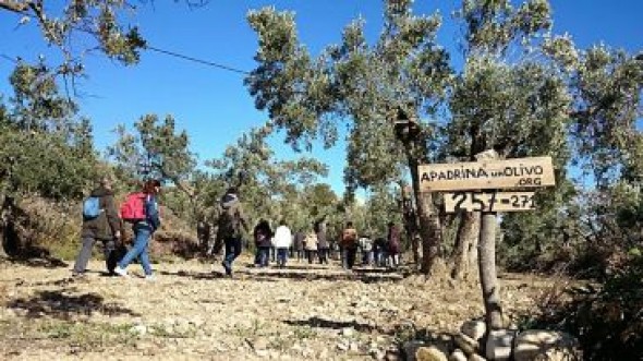 El Centro Despertador Rural de Oliete despega con 90.000 euros