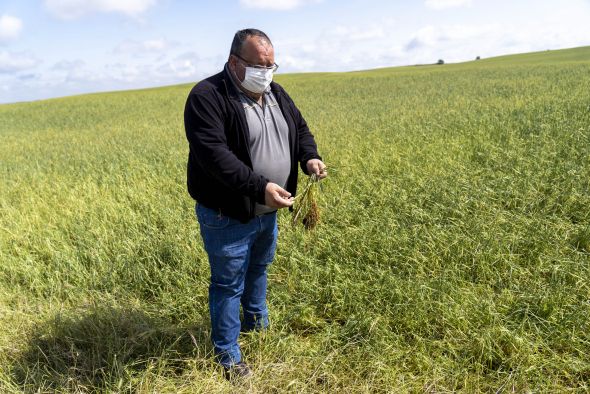 El balance del granizo en la zona de Campo Romanos: unas 4.000 hectáreas de cereal arrasadas