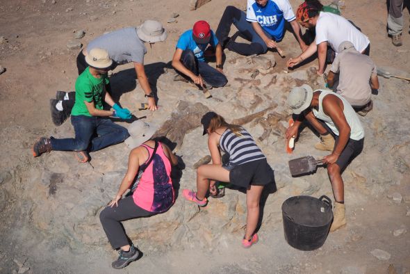 Excelente respuesta al curso de la Universidad de Verano de Teruel sobre paleontología