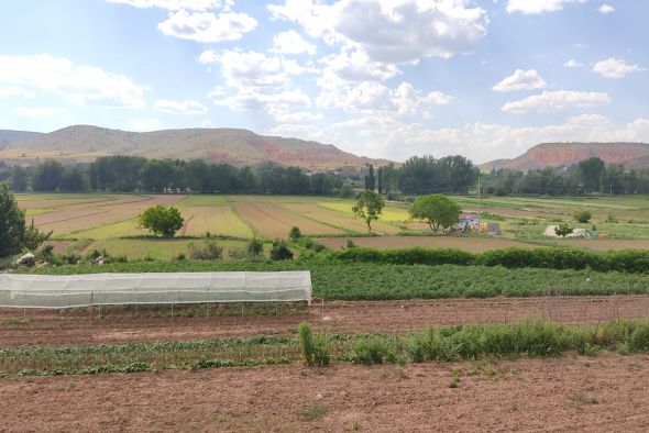 Las organizaciones profesionales agrarias turolenses, muy críticas con el acuerdo de la PAC