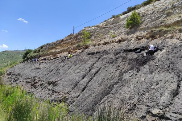 Una campaña de excavación descubre nuevas piezas de ámbar del yacimiento de Sant Just en Utrillas