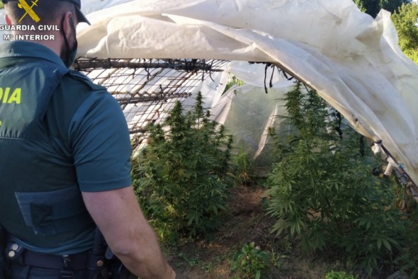 La Guardia Civil de Teruel detiene a dos personas por presunto delito contra la salud pública por cultivar marihuana en Calomarde