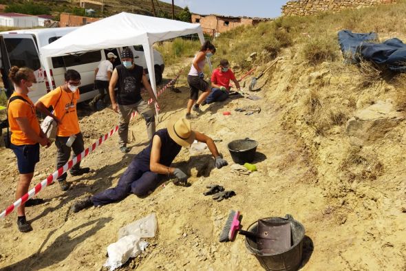 Localizan en Alacón fragmentos de un dinosaurio que hasta ahora era desconocido