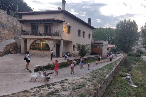 El encierro de las ocas que limpian el río  de Villarroya, atractivo turístico del verano