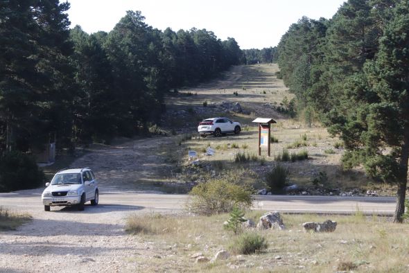 Comienza una campaña micológica en los montes turolenses que parece muy prometedora