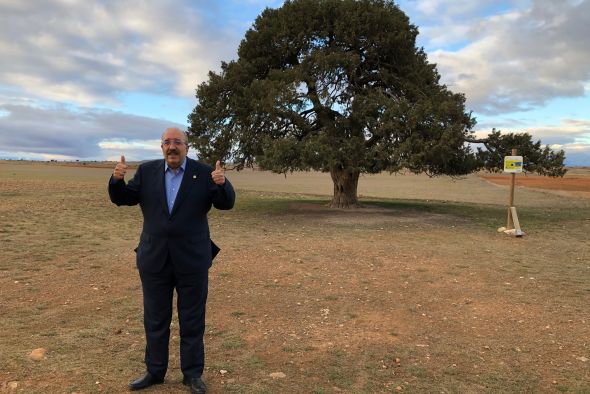 El presidente de la DPT pide un “esfuerzo común” para lograr la candidatura española de la sabina de Blancas a Árbol Europeo