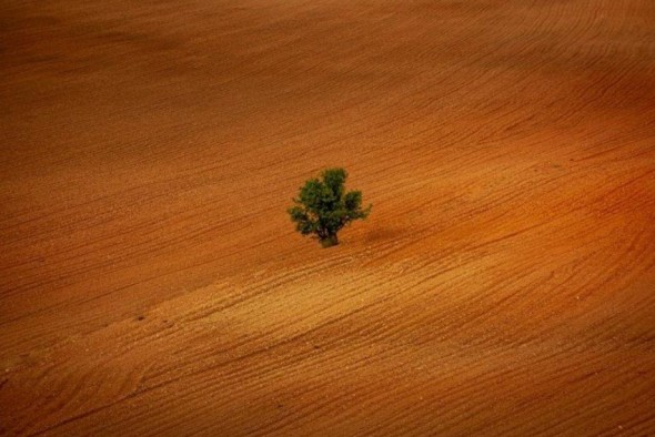 ‘Solitario’, de Anna Placzowska, gana  el XIV Concurso Miradas al Bajo Aragón