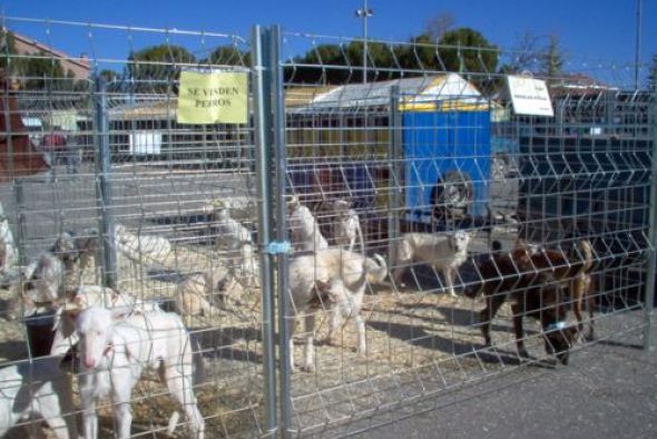 La Feria Captur de Calamocha se aplaza un mes y se celebrará los días 7 y 8 de mayo