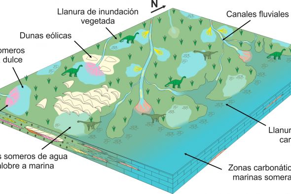 Los grandes dinosaurios de Teruel y Valencia vivieron en climas con lluvias de tipo monzónico