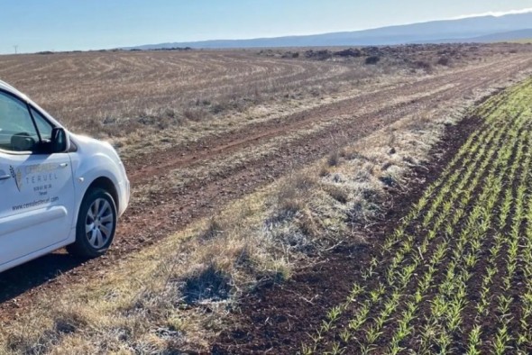 Las organizaciones de Teruel piden un plan de contingencia agroalimentaria por la guerra de Ucrania