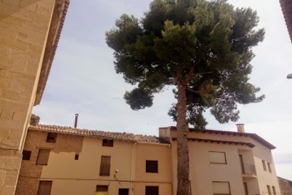 La Fresneda renueva la imagen de su plaza del Pilar y de la sala de actividades del ayuntamiento