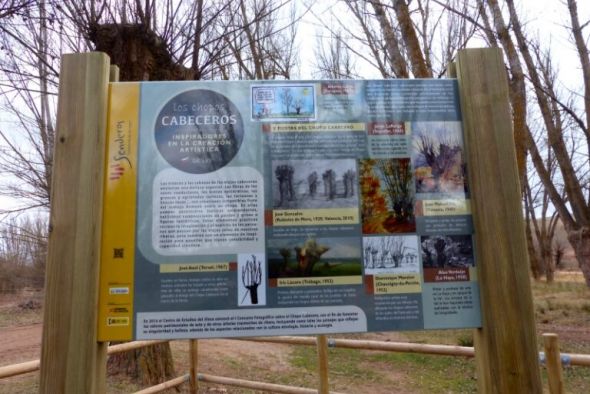 Galve habilita un sendero sobre el patrimonio cultural del chopo cabecero