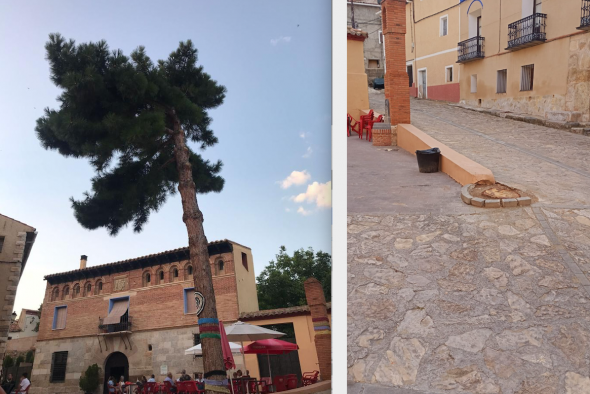 Quejas vecinales en Luco del Jiloca por la tala del  pino de la plaza