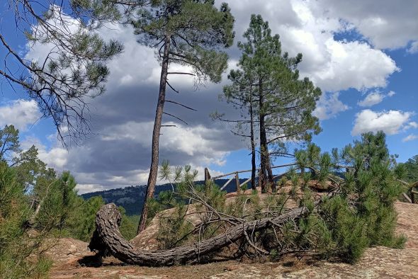 El Paisaje de los Pinares de Rodeno regula las actividades deportivas y de ocio en el área protegida