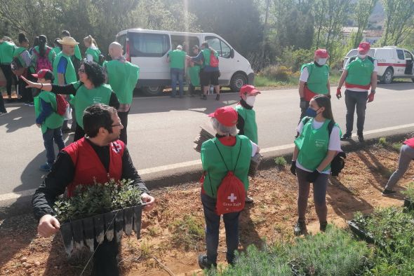 Cruz Roja culmina su plantación en San Blas con alta participación