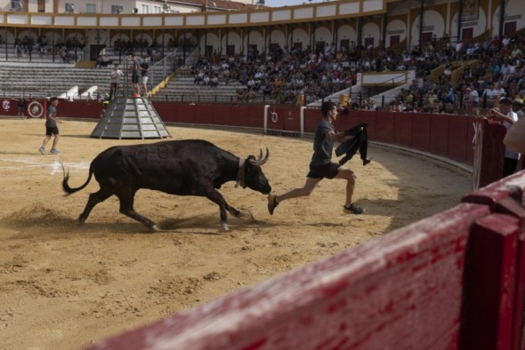 La ganadería de Vicente Benavent se hace con el VIII Desafío organizado por El Ruedo