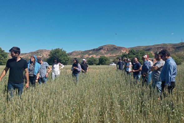 Los labradores turolenses se forman en nuevas técnicas sostenibles para los suelos