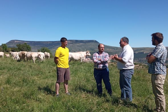 Ganaderos de vacuno del Maestrazgo trabajan con la DPT en la mejora de la rentabilidad de explotaciones