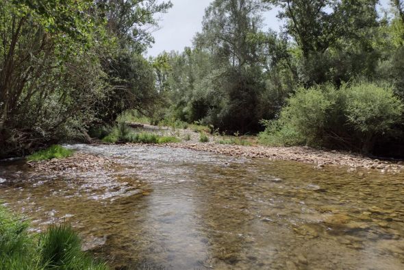 Mijares Vivo y los regantes alertan de que la falta de caudal afectará al desove